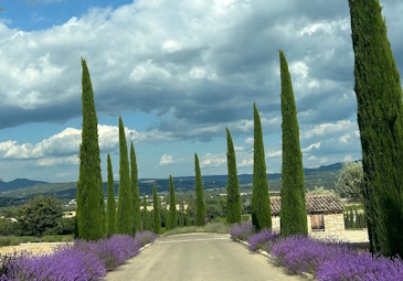 Provence